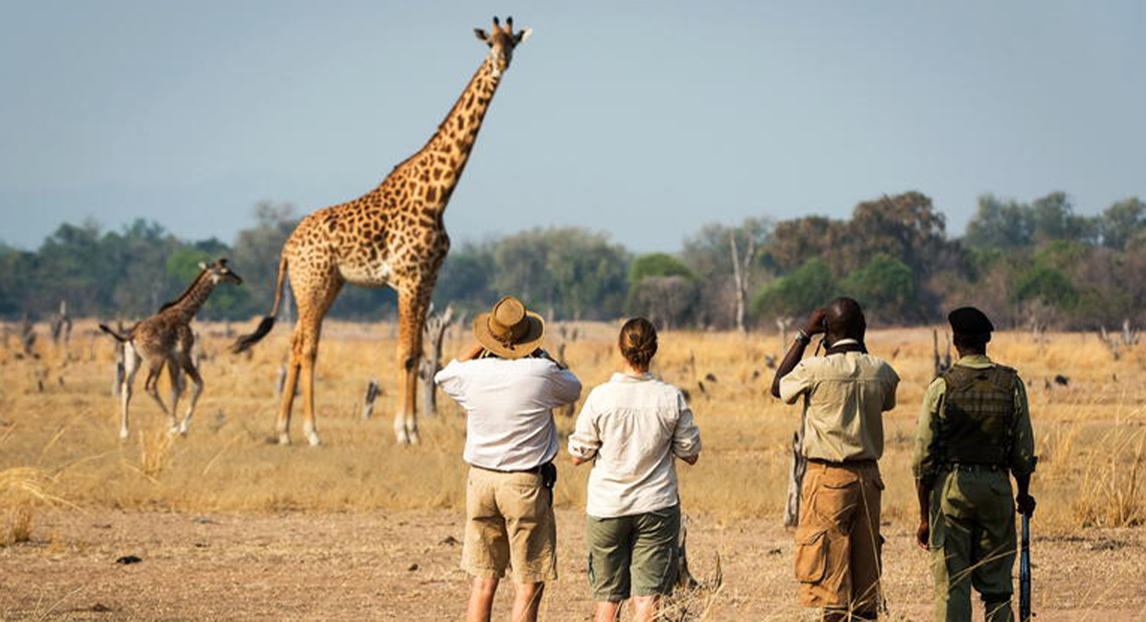 Tanzania 5 Days Mid-Range Safari